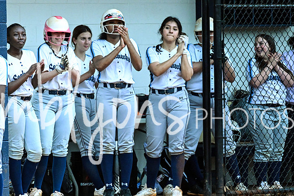 DSC_4305-1_edited-1