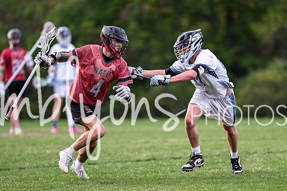 DSC_0548_edited-1