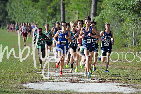 DSC_4064-1_edited-1