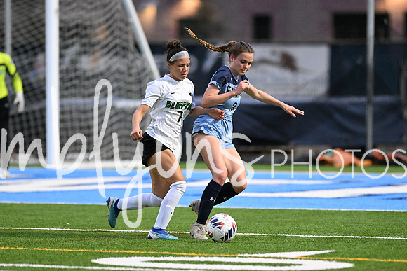 DSC_5004_edited-1