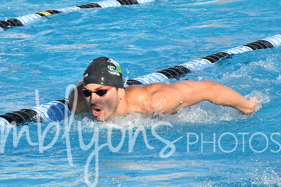 DSC_5287-1_edited-1