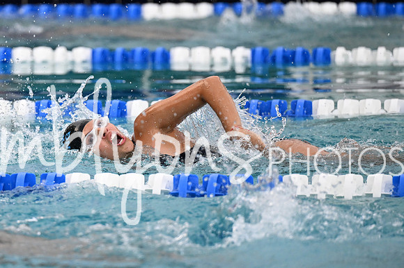 DSC_2521-1_edited-1