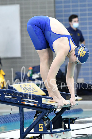 DSC_2309_edited-1