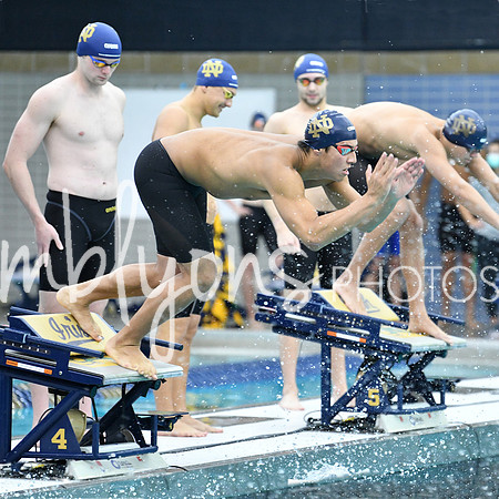 DSC_2802-1_edited-11