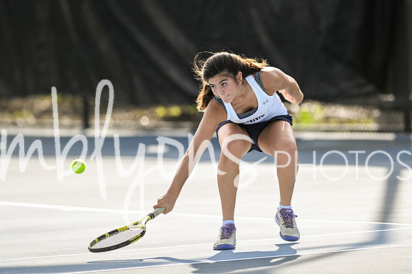 DSC_3350_edited-1