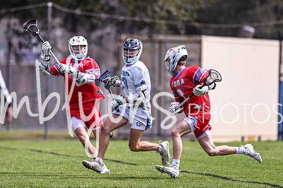 DSC_8979_edited-1