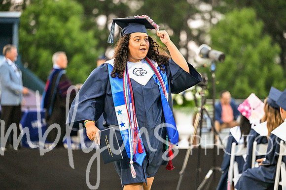 DSC_2488-1_edited-1
