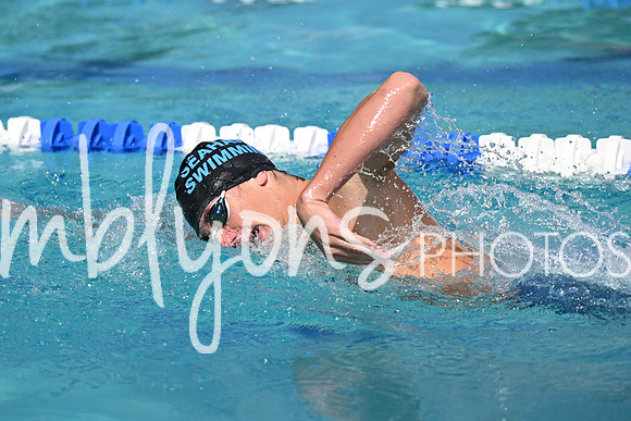 DSC_2472_edited-1