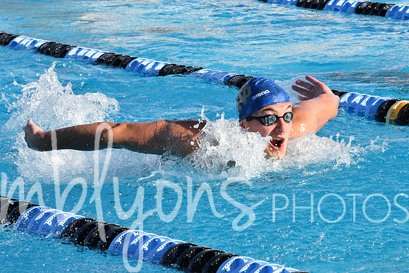 DSC_5389_edited-1