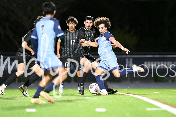 DSC_1210-1_edited-1