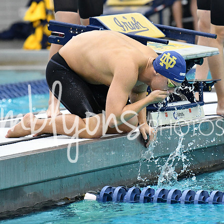 DSC_2781_edited-1