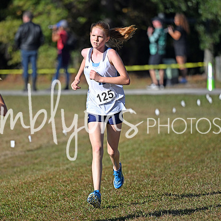 DSC_5519-1_edited-1