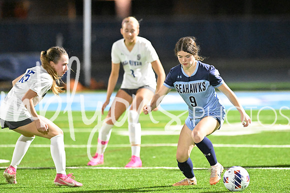 DSC_3528_edited-1