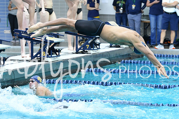 DSC_2863-1_edited-1