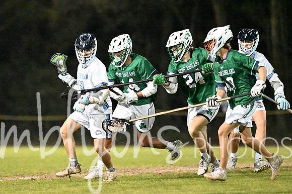 DSC_3348_edited-1