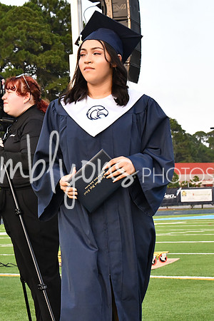 DSC_1171_edited-1
