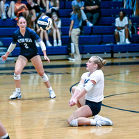DSC_3586_edited-1