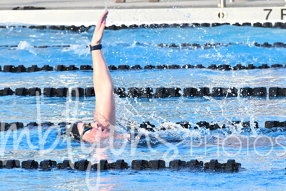DSC_6231-1_edited-1