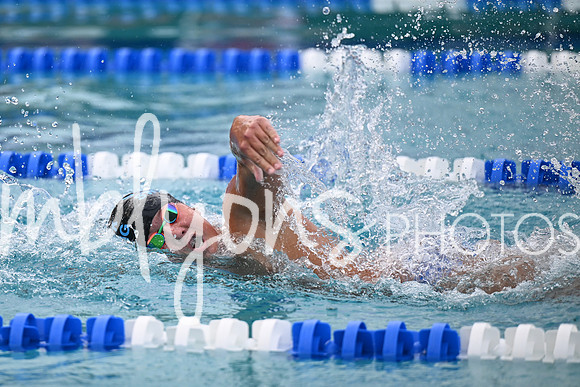 DSC_2347_edited-1