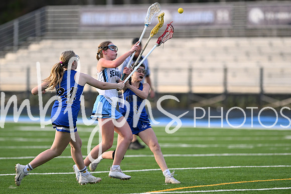 DSC_2330-1_edited-1