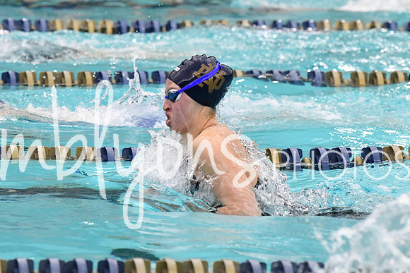 DSC_4296-1_edited-1