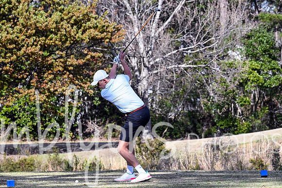 DSC_6295-1_edited-1