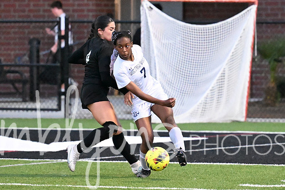 DSC_7717-1_edited-1