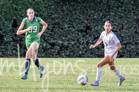 DSC_6227-1_edited-1
