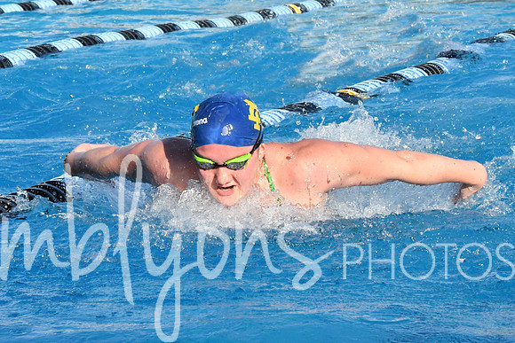 DSC_5378-1_edited-1