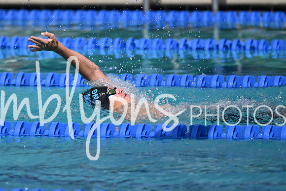 DSC_2225_edited-1