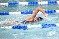 DSC_2200_edited-1