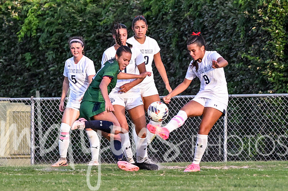 DSC_6572_edited-1