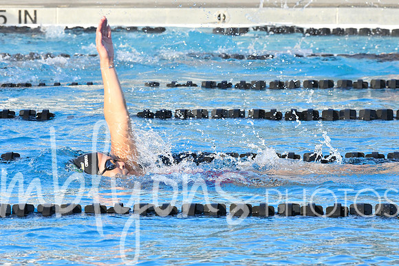 DSC_6236-1_edited-1