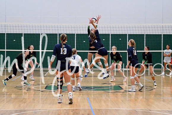 DSC_4657-1_edited-1