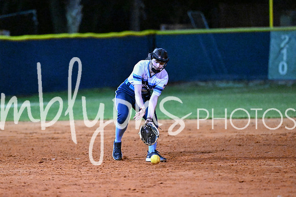 DSC_4377-1_edited-1
