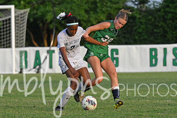 DSC_6584-12_edited-1