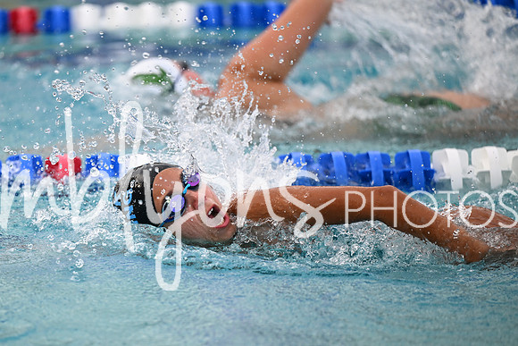 DSC_2366_edited-1