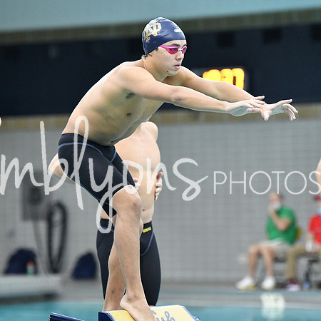 DSC_2799_edited-1