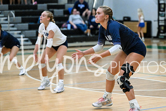 DSC_4476_edited-1