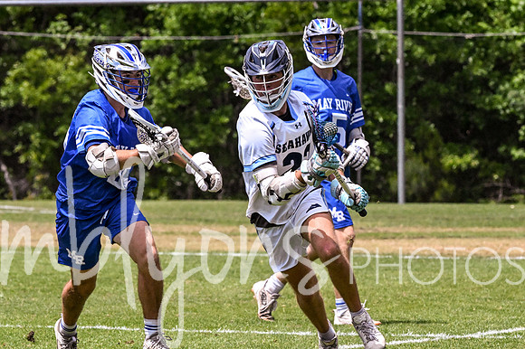 DSC_5240_edited-1
