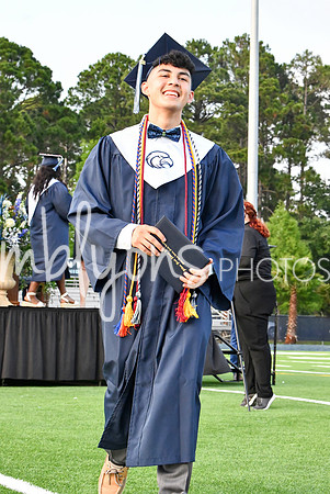 DSC_1247_edited-1