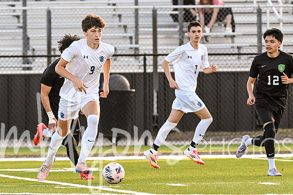 DSC_1229_edited-1