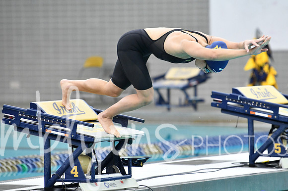 DSC_2142-1_edited-1