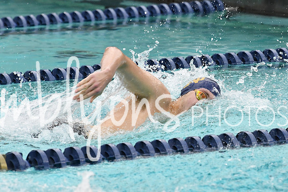 DSC_3460_edited-1