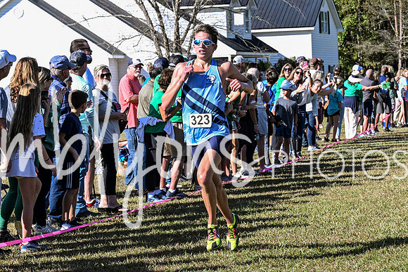 DSC_7472-1_edited-1