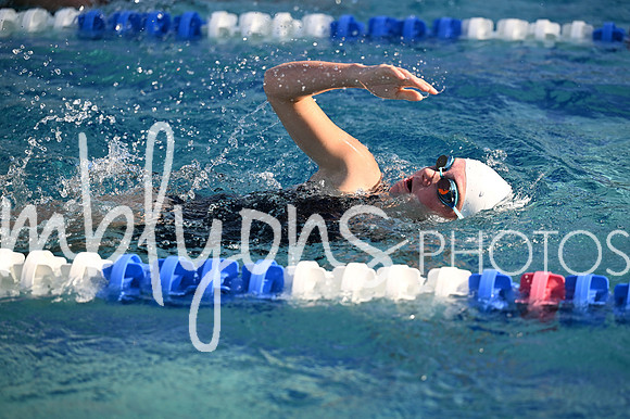 DSC_1031_edited-1