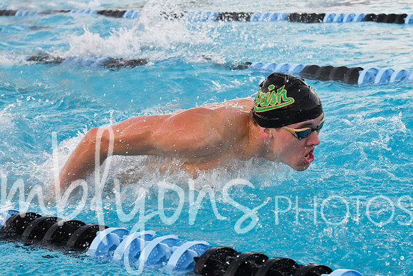 DSC_5950-1_edited-1