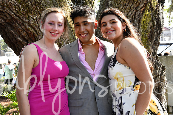 DSC_7173_edited-1