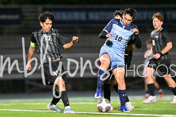 DSC_1261-1_edited-1