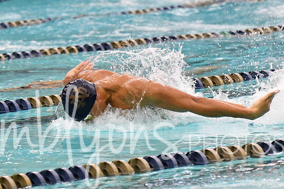 DSC_2667_edited-1